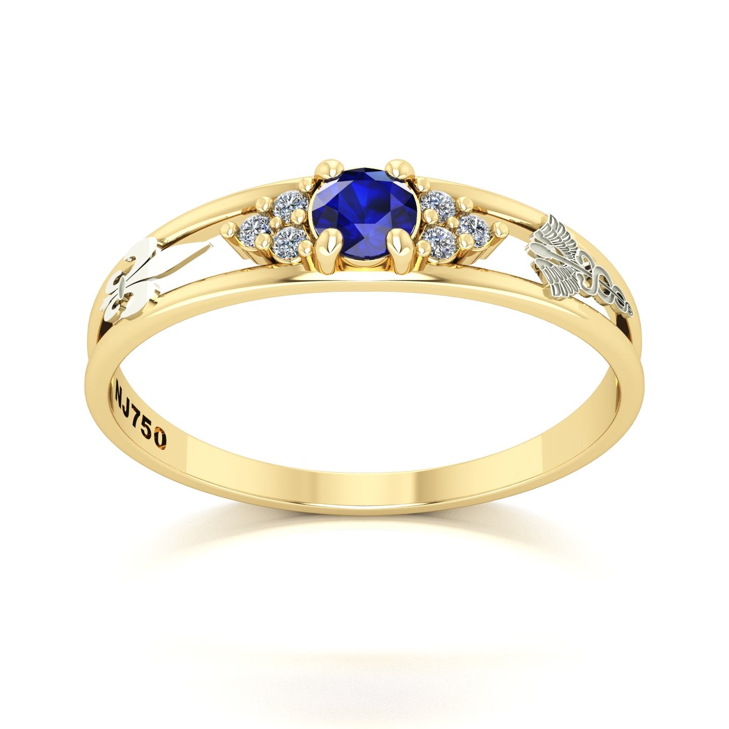 Anel de Formatura de Pedagogia Eternus IV Ouro 18k