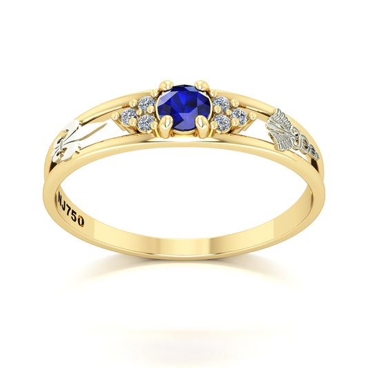 Anel de Formatura de Pedagogia Eternus IV Ouro 18k