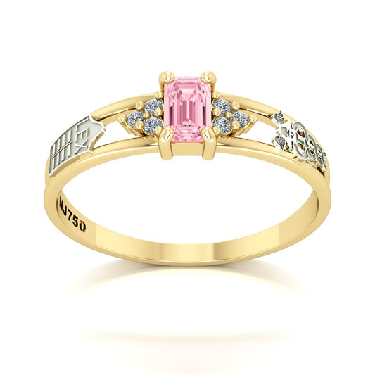 Anel de Formatura de Ciências Contábeis Eternus Ouro 18k