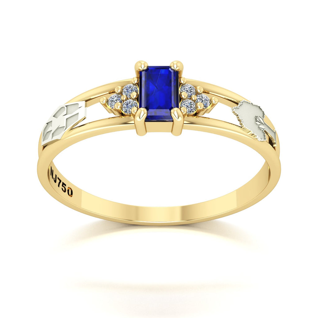 Anel de Formatura de Engenharia Ambiental Eternus Ouro 18k