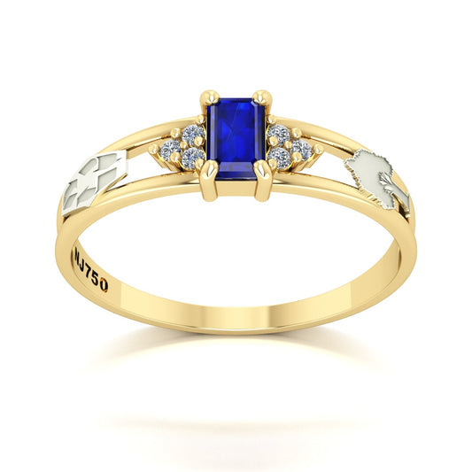 Anel de Formatura de Engenharia Ambiental Eternus Ouro 18k