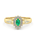 Anel de Formatura de Fisioterapia Evermore II Ouro 18k