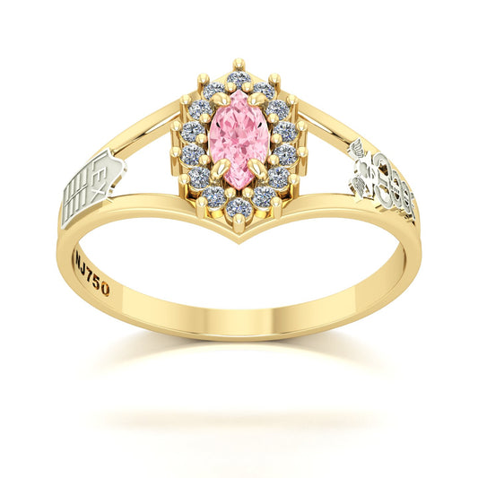 Anel de Formatura Ciências Contábeis Legacy Ouro 18k