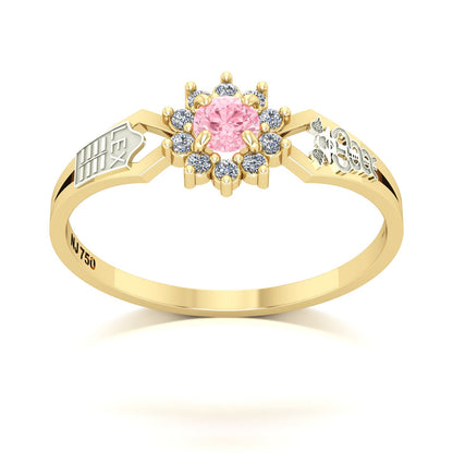 Anel de Formatura de Ciências Contábeis Lovely II Ouro 18k