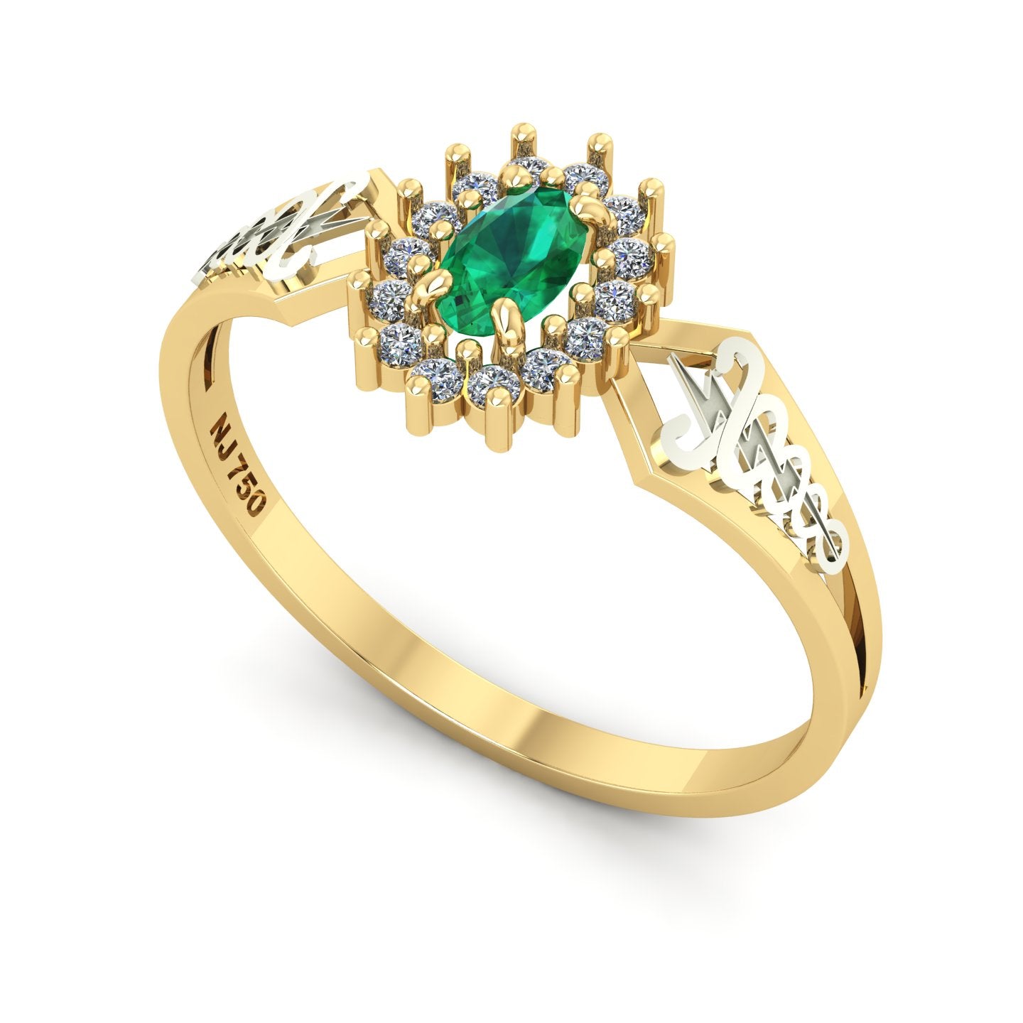 Anel de Formatura de Fisioterapia Lovely IV Ouro 18k