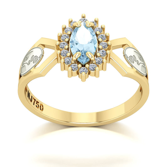 Anel de Formatura de Biologia Lovely V Ouro 18k