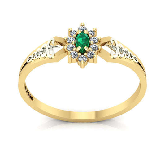 Anel de Formatura de Fisioterapia Lovely Ouro 18k
