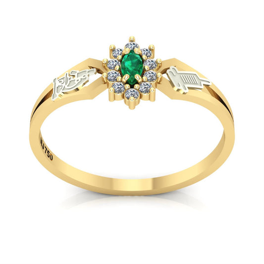 Anel de Formatura de Biomedicina Lovely Ouro 18k