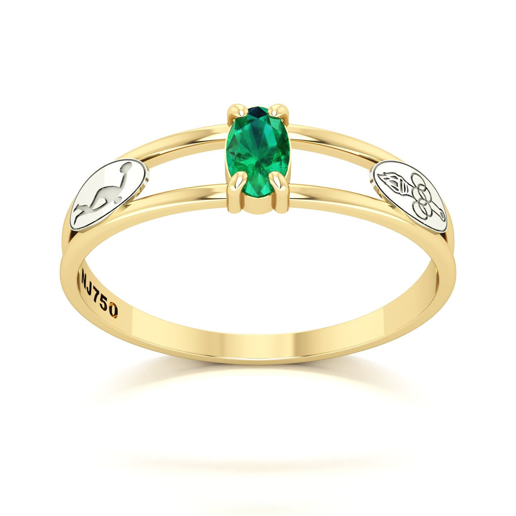 Anel de Formatura de Educação Física Nexus III Ouro 18k