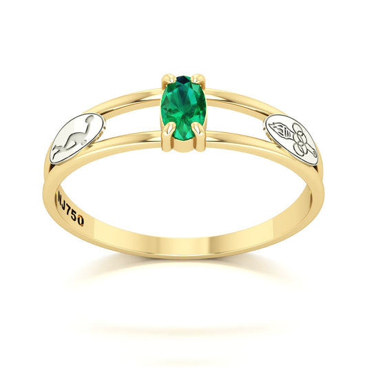 Anel de Formatura de Educação Física Nexus III Ouro 18k