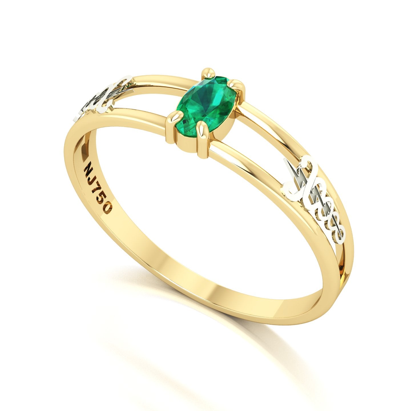 Anel de Formatura de Fisioterapia Nexus III Ouro 18k