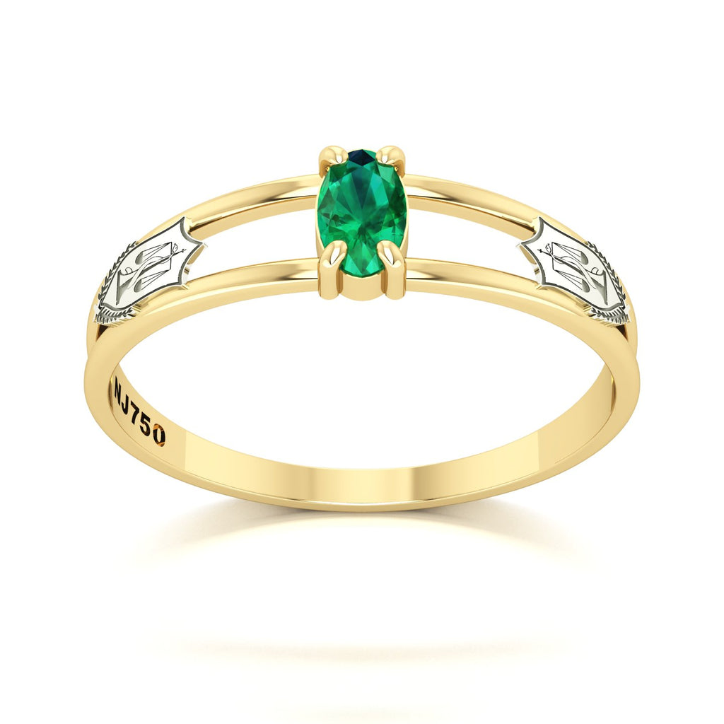 Anel de Formatura de Nutrição Nexus III Ouro 18k