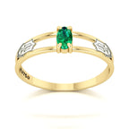Anel de Formatura de Nutrição Nexus III Ouro 18k
