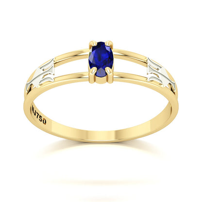 Anel de Formatura de Recursos Humanos Nexus III Ouro 18k