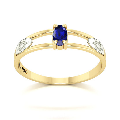 Anel de Formatura de Engenharia Agronômica Nexus III Ouro 18k