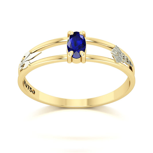 Anel de Formatura de Pedagogia Nexus III Ouro 18k