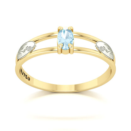 Anel de Formatura de Biologia Nexus III Ouro 18k