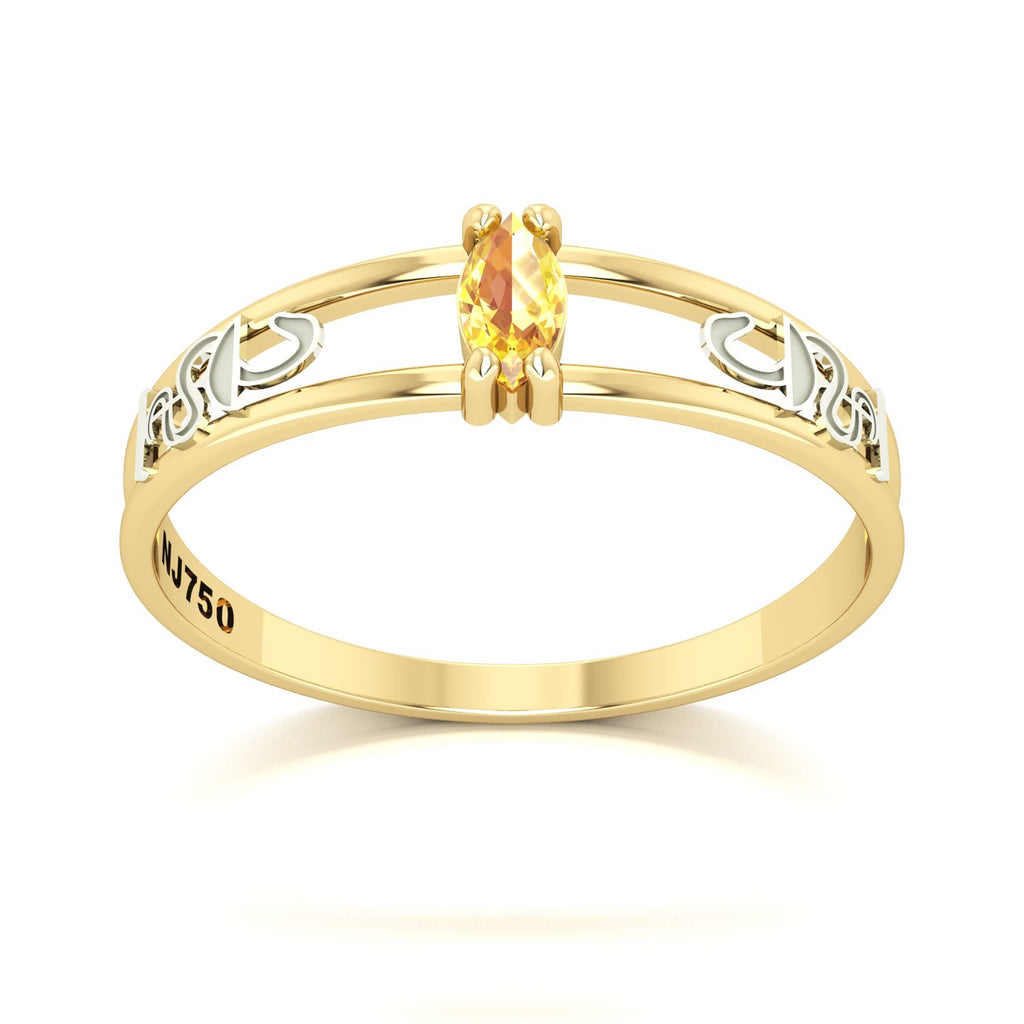 Anel de Formatura de Farmácia Nexus II Ouro 18k