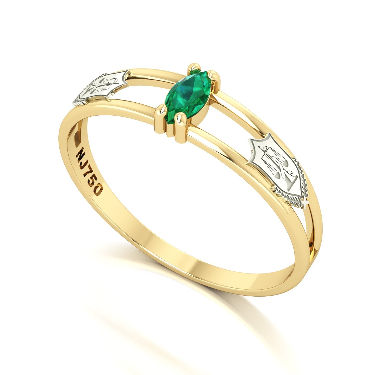 Anel de Formatura de Nutrição Nexus II Ouro 18k