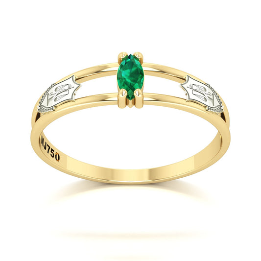 Anel de Formatura de Nutrição Nexus II Ouro 18k