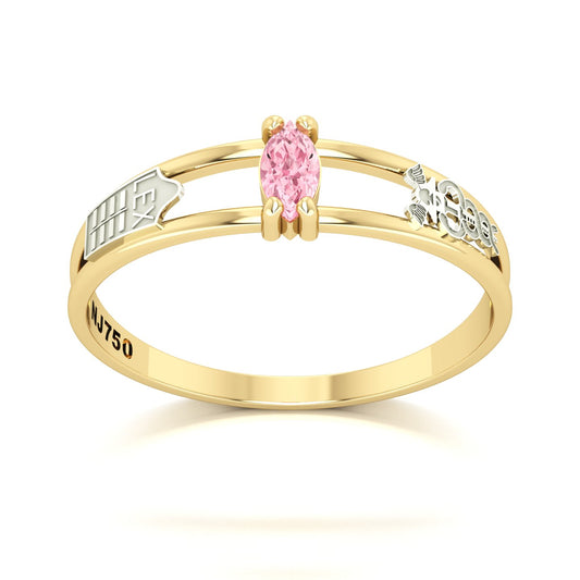 Anel de Formatura de Ciências Contábeis Nexus II Ouro 18k