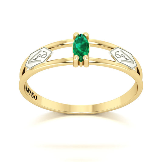 Anel de Formatura de Medicina Veterinária Nexus II Ouro 18k
