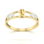 Anel de Formatura de Radiologia Nexus II Ouro 18k