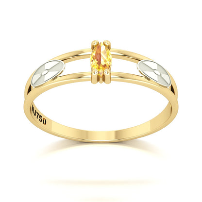 Anel de Formatura de Radiologia Nexus II Ouro 18k
