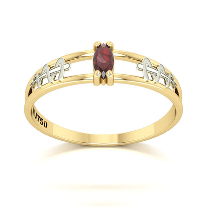 Anel de Formatura de Odontologia Nexus II Ouro 18k
