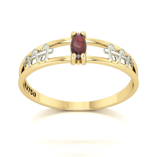 Anel de Formatura de Odontologia Nexus II Ouro 18k