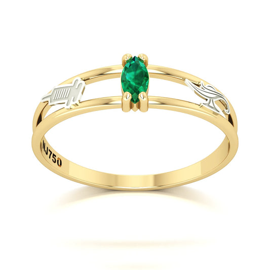 Anel de Formatura de Técnico em Enfermagem Nexus II Ouro 18k