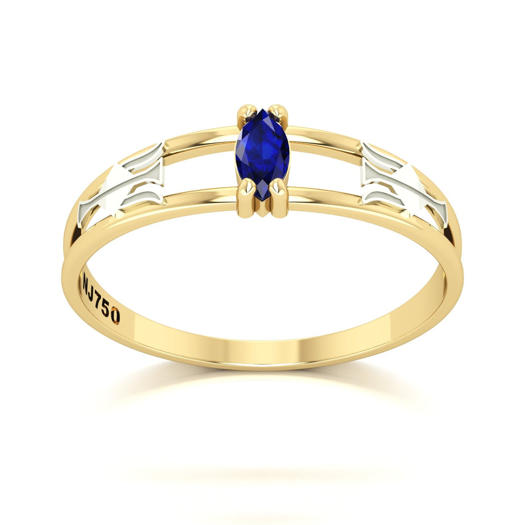 Anel de Formatura de Recursos Humanos Nexus II Ouro 18k