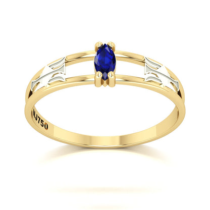 Anel de Formatura de Recursos Humanos Nexus II Ouro 18k