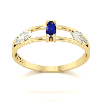 Anel de Formatura de Engenharia Ambiental Nexus II Ouro 18k