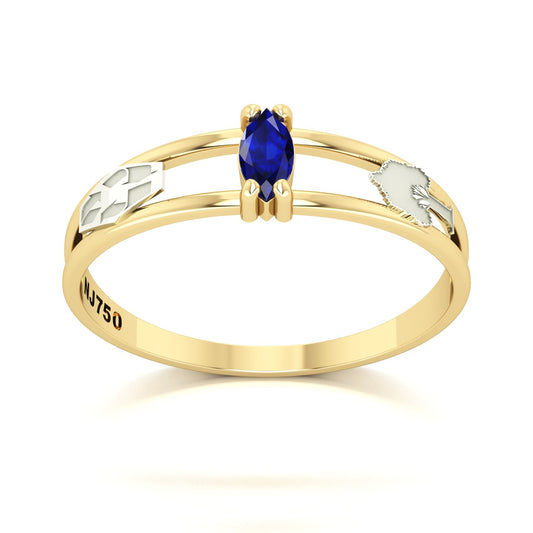 Anel de Formatura de Engenharia Ambiental Nexus II Ouro 18k