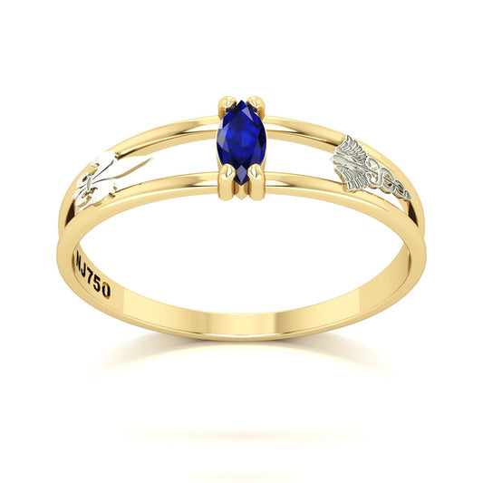 Anel de Formatura de Pedagogia Nexus II Ouro 18k