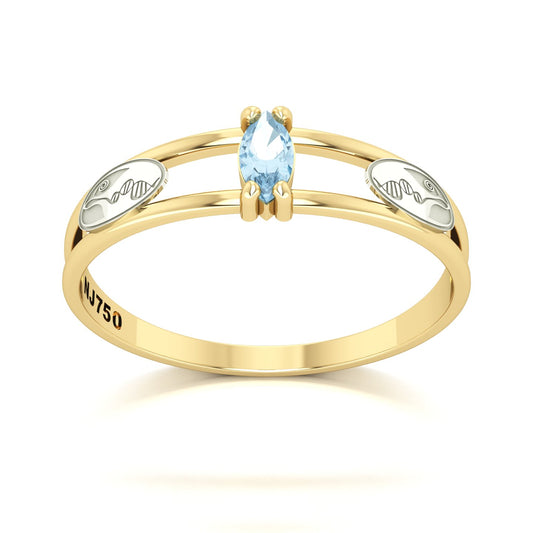 Anel de Formatura de Biologia Nexus II Ouro 18k