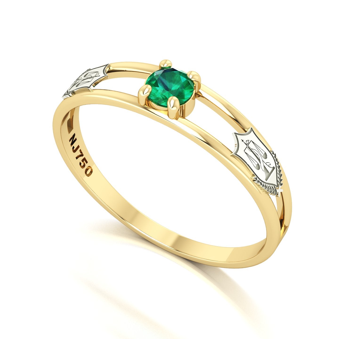 Anel de Formatura de Nutrição Nexus IV Ouro 18k
