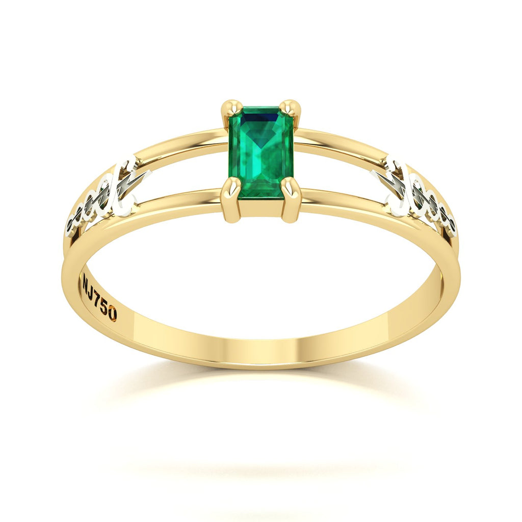 Anel de Formatura de Fisioterapia Nexus Ouro 18k