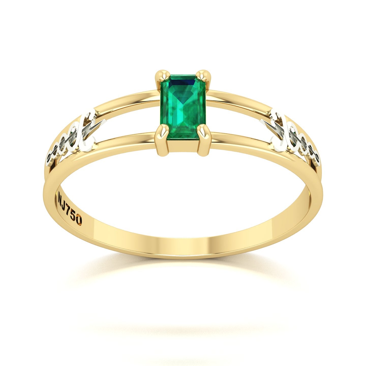 Anel de Formatura de Fisioterapia Nexus Ouro 18k