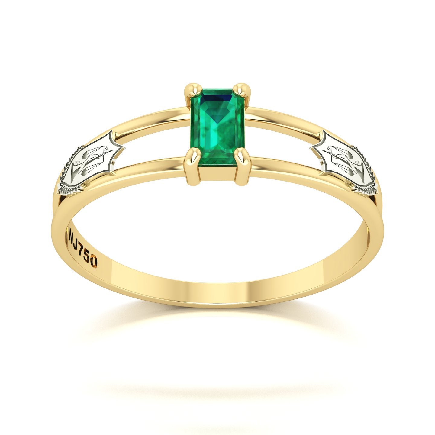 Anel de Formatura de Nutrição Nexus Ouro 18k