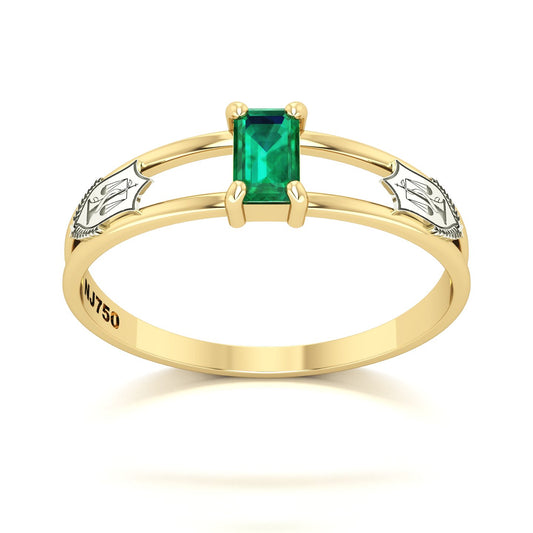 Anel de Formatura de Nutrição Nexus Ouro 18k