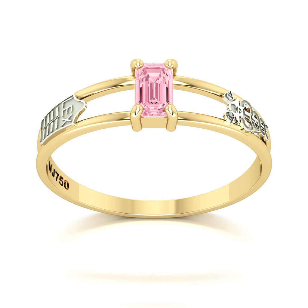 Anel de Formatura de Ciências Contábeis Nexus Ouro 18k