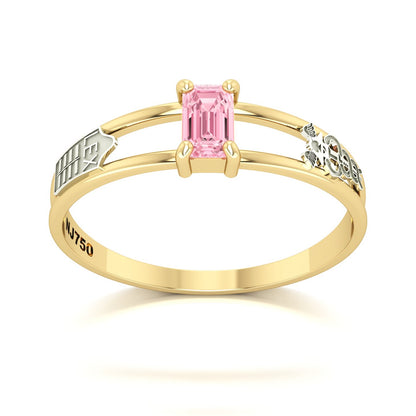 Anel de Formatura de Ciências Contábeis Nexus Ouro 18k