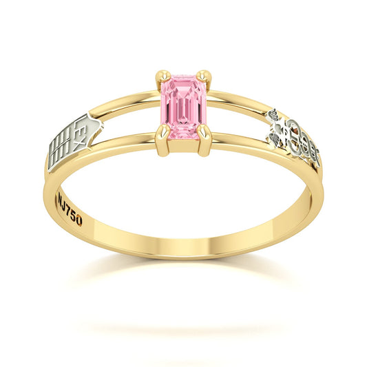 Anel de Formatura de Ciências Contábeis Nexus Ouro 18k