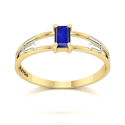 Anel de Formatura de Psicologia Nexus Ouro 18k