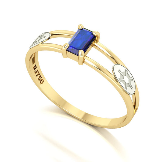Anel de Formatura de Engenharia Agronômica Nexus Ouro 18k