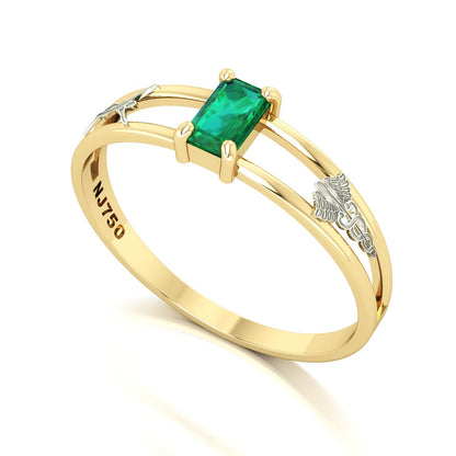 Anel de Formatura de Estética Nexus Ouro 18k