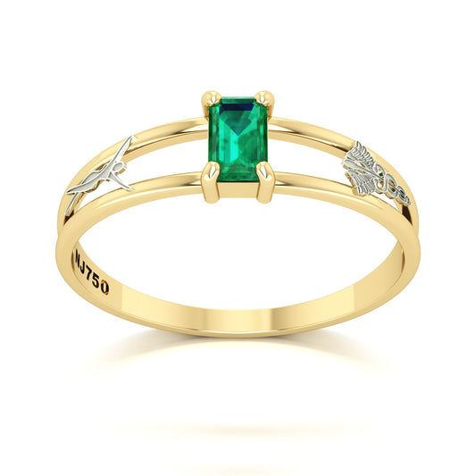 Anel de Formatura de Estética Nexus Ouro 18k