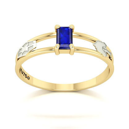 Anel de Formatura de Engenharia Ambiental Nexus Ouro 18k